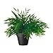 IKEA Artificial Potted Plant, House Bamboo, 11 Inch