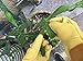 Hense Durable Leather Rose Pruning Gardening Gloves Puncture Resistant Yard Work Gloves Pruning Gloves for Gardener Orchardist Farmer Owner Men Women