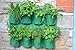 Tierra Garden 50-1070 Haxnicks Herb Wall Planterthumb 1