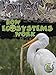 Rourke Educational Media How Ecosystems Work (My Science Library)