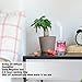 Essential Oil Diffuser Himalayan Salt Lamp Cool Mist Humidifier 3 in 1. Aigoceer Ultrasonic Aromatherapy Diffusers humidifier. 7 Colors Changing LED Night Lights, Waterless Auto Shut-off - Silvery