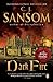 Dark Fire: A Matthew Shardlake Tudor Mystery (Matthew Shardlake Mysteries Book 2) by C. J. Sansom