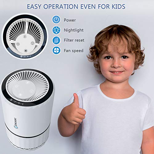 GENIANI Home Air Purifier with True HEPA Filter for Allergies and Pets/Smoke/Mold/Germs and Dust - Odor Eliminator and Air Cleaner for Large Room with Optional Night Light - 2 Year Warranty
