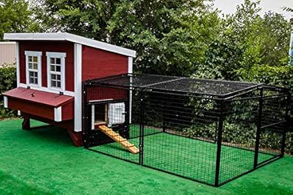 Amazoncom Rugged Ranch Chicken Run 1 Garden Outdoor