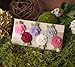 Ema Jane - Vintage Baby Hair Bow Clip Sets (Vintage Roses (Classy))