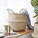 RISEON Natural Seagrass Belly Basket Panier Storage Plant Pot Collapsible Nursery Laundry Tote Bag with Handles (18
