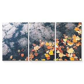 signwin 3 Piece Canvas Wall Art Beautiful Landscape...