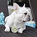 Natural Dog Company Wrinkle Balm (2-oz tin) | Healing and Soothing Balm | All-Natural and Organic | Vegan and Veterinarian-Approved | for Face Wrinkles and Skin Folds | Ideal for Bulldogs and Pugs