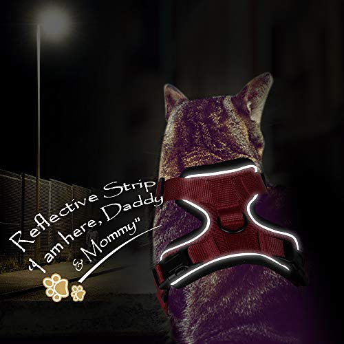 3 Eagloo+Harness+Adjustable+Reflective+Walking