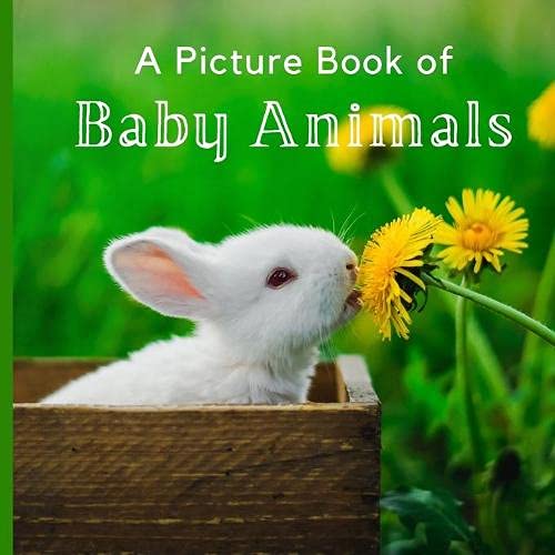 A Picture Book Of Baby Animals A Beautiful Picture Book For Seniors With Alzheimer S Or Dementia A Bee S Life Press Amazon Com Books