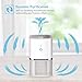 AwesomeWare Air Purifier True, Purple