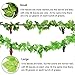 HUIANER Fake Grapes 3 Bunches of Simulation Grape Fruit Artificial Grape Vines Lifelike Leaves for Wedding Home Indoor Outdoors Party Garden Wall Decoration