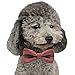 YOY Handcrafted Adorable Pet Bow Ties - 6-Pack Adjustable Neck Tie 10