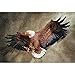 Design Toscano Freedom's Pride Eagle Plaque: Large