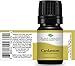 Plant Therapy Cardamom Essential Oil 5 mL (1/6 oz) 100% Pure, Undiluted, Therapeutic Grade