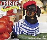 Crusoe the Celebrity Dachshund 2020 Box Calendar (Dog Breed Calendar) by 