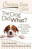 Chicken Soup for the Soul: The Dog Did What?: 101 Amazing Stories of Magical Moments, Miracles and... Mayhem by Amy Newmark, Miranda Lambert