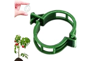 SUEEA Plant Support Clips, 2024 New Garden Clips Plant Support Clips Plant Clips Plant Support Garden Clips Vine Fixing Clip for Plants (100, Green)
