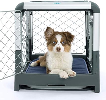 small foldable dog crate