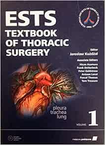 Thorax visual data 8