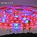 LED Strip Light, Topled Light Plant Grow Light with Power Adapter, 5050 SMD Waterproof Full Spectrum Red Blue 4:1 Rope Lamp for Aquarium Greenhouse Hydroponic Plant Veg Garden Flowers (5 M)