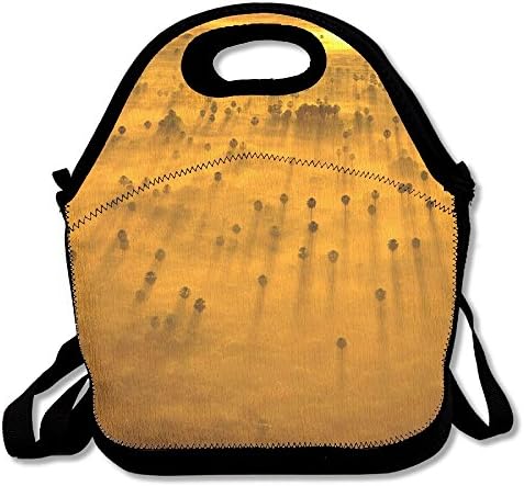 Wonderful Sunrise Large Capacity Lunch Tote Lunch Holder Picnic Bag With Rope Belt Stylish