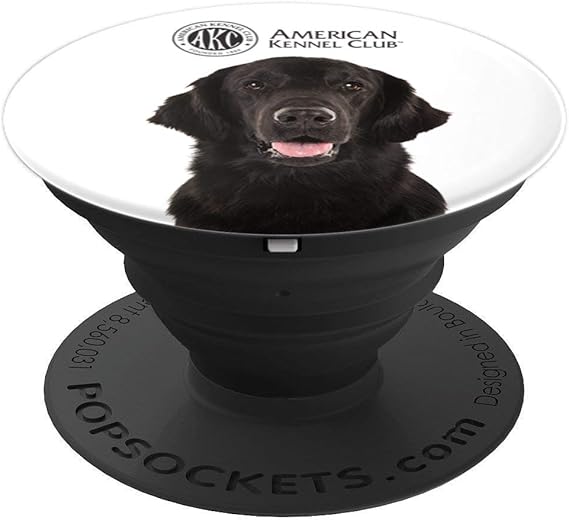 akc flat coated retriever