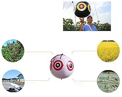 keesoon -Bird repelling balloon，woodpecker