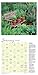 Herb Gardens 2018 Wall Calendar: Recipes & Herbal Folklore