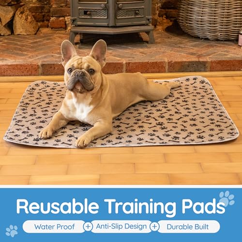 Magnus Creations | Reusable Dog Pee Pads | 5-Layer Washable Puppy Pads | Super Absorbent Waterproof Pet Mats for Home, Car & Travel | Medium & Large Dogs (3-Pack, 76 × 91 cm)