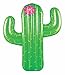 BigMouth Inc Giant Cactus Pool Float, 5' Tall Funny Inflatable Vinyl Summer Pool or Beach Toy, Patch Kit Included