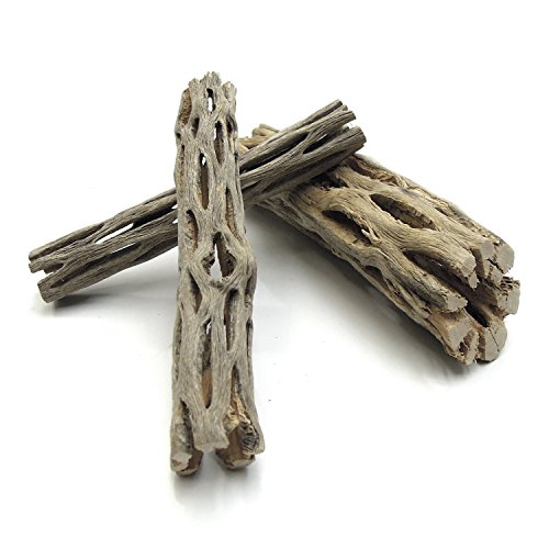 SubstrateSource Natural Cholla Wood - Driftwood for Aquariums, Air Plant Base, Hermit Crab and Freshwater Shrimp Hideout, Fish Tank Decoration, Chinchilla Chews, Reptile Habitat Wood - 4 Inch, 3pc