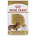 Royal Canin Breed Health Nutrition Dachshund Loaf in Gravy Pouch Dog Food, 3 oz Pouch (Pack of 12), 723085