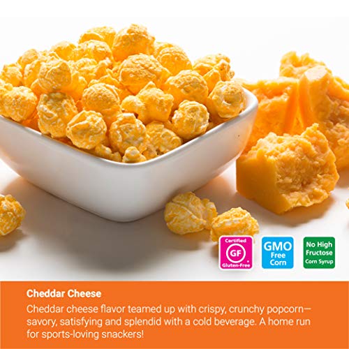 Popcornopolis Gourmet Popcorn Mini Cone Premium 24 Pack Includes Zebra, Caramel, Cheddar