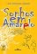 Livro Sonhos em amarelo: O garoto que não esqueceu Van Gogh