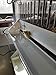 Heated Box Poultry Brooder - Thermostatically Regulated
