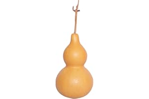 Dried Gourd Bottle - 7.48-9.45 Inch Natural Gourds for DIY Painting Crafts, Home Office Desktop Decoration