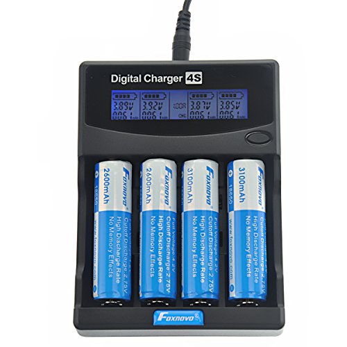 Portable Battery Build