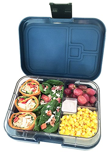 compartment lunch boxes for adults