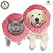 SunGrow Cat Cone Collar Soft, Pet Recovery Elizabethan E Collar Soft Neck Cone to Stop Licking for Cats & Kittens After Surgery, Cat Surgical Recovery Suit for Wound Cover, Puppy Dog & Rabbit Cone