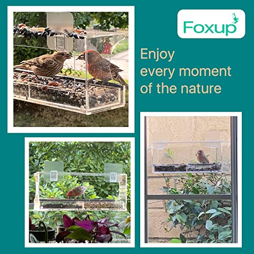 Window Bird Feeder with Removable Seed Tray and Super Strong Sticker