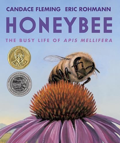 Honeybee: The Busy Life of Apis Mellifera: Fleming, Candace
