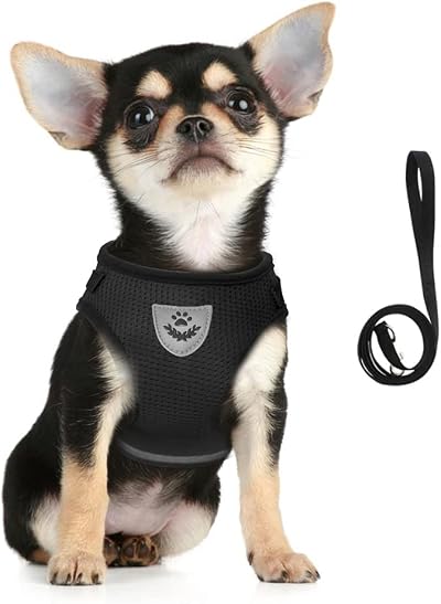 FEimaX Dog Harness and Leash Set Reflective No Pull Adjustable Vest