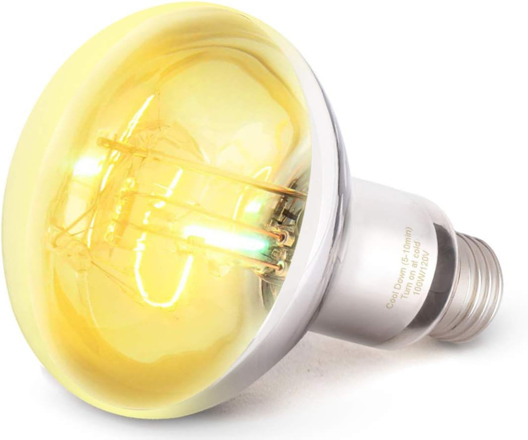 bearded dragon light bulb wattage