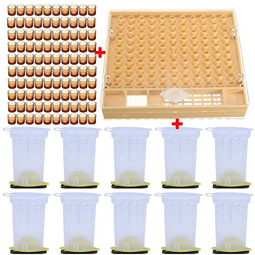 Zqasales Bee Hive Beekeeping King Box Pollination Box Beekeeping Cultivating Tool Cultivating Plastic Box for Garden Pollination