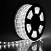 Yescom Delight 50ft LED Rope Light Home Holiday Party Disco Restaurant Cafe Decor 2 Wire 540pcs Bulbs White