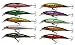 Fishing Lures Hard Bait Minnow Swimbait Crankbait Jerkbait Popper Topwater Lures with Treble Hooks 3D Eyes Freshwater Saltwater Fishing Lures for Bass Trout Walleye Pike Catfish 4.5in 0.46oz 10pcs