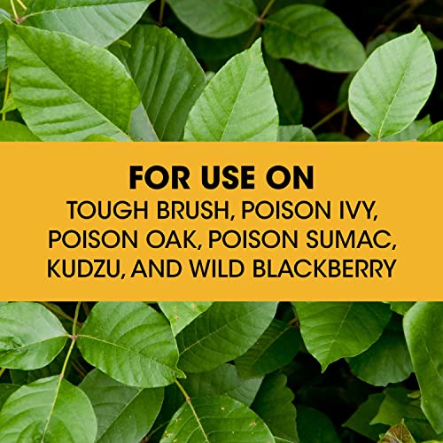 Roundup Concentrate Poison Ivy Killer Plus Tough Brush Killer for Weeds