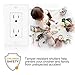 AbboTech 15A Tamper Resistant Duplex Receptacle Standard Wall Outlet Decorative Electrical Outlet, Child Proof Safety,Wall Plates Included, White, UL Listed.