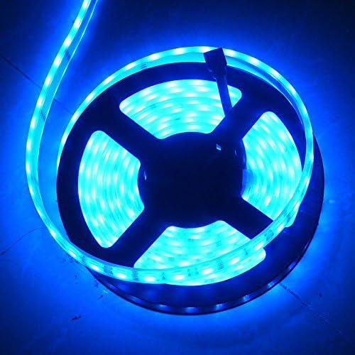 Fisrsd 16.4ft 300LEDs 5050 Bule LED Strip Ribbon Light Waterproof IP68 DC12V String Light (Blue)